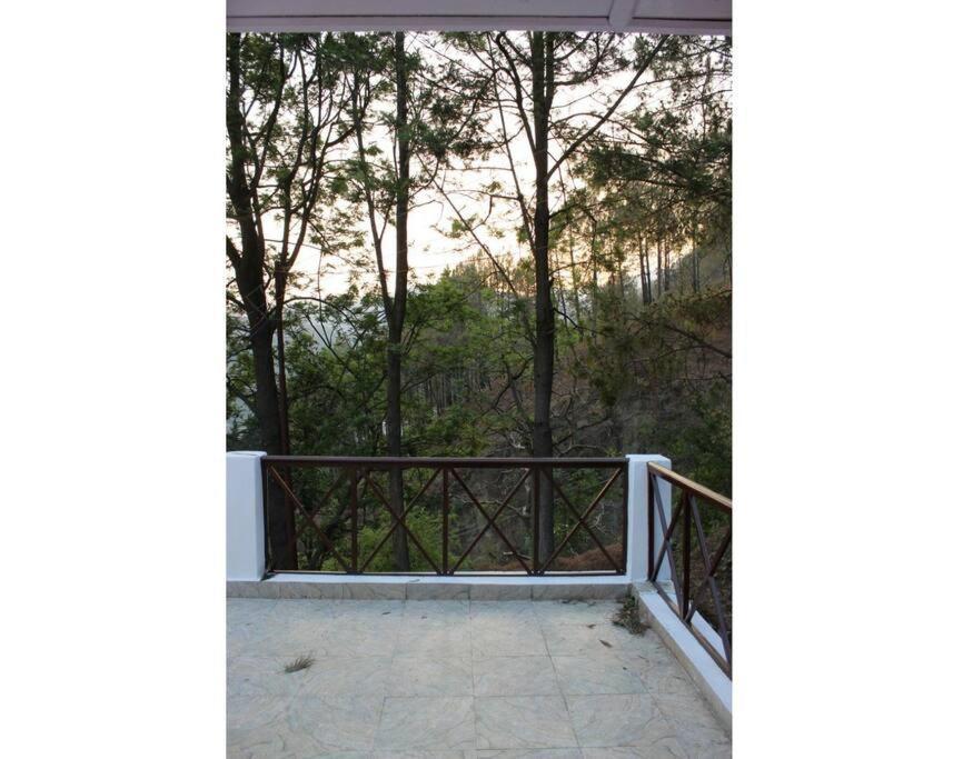 Whistling Thrush Cottage, Bhimtal ไนนิตาล ภายนอก รูปภาพ